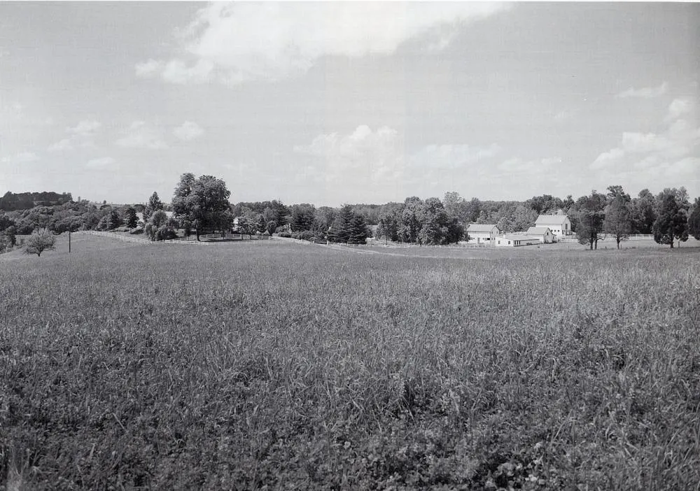 The meadow that became Fallsmead, in 1953